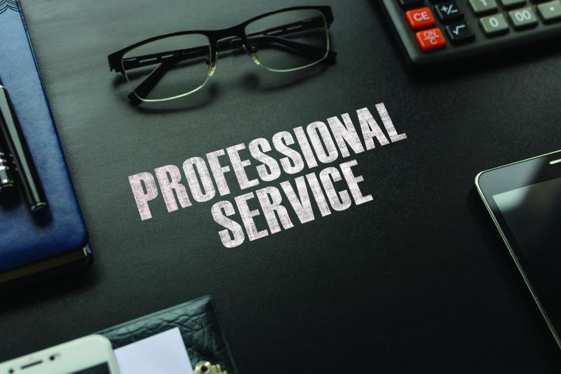 Professional Services